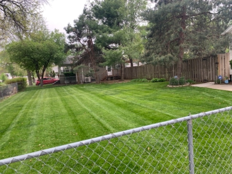 Tiger Stripe Lawn Lawn Care Services in Papillion, NE