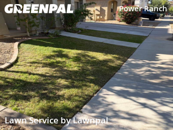Landscaper In Gilbert,85297,Landscaping Cleanup by Lawnpal, work completed in Nov , 2025