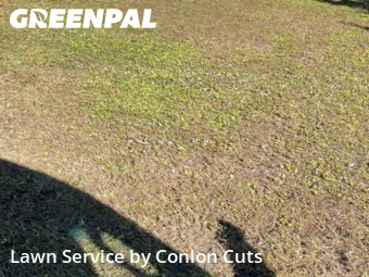 Lawn Service nearby Bradenton, FL, 
