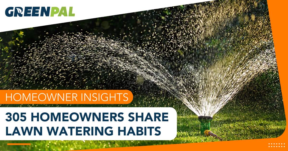 Survey: 305 homeowners share how often they water their lawn