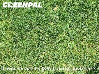 Grass Cut nearby Lancaster, SC, 