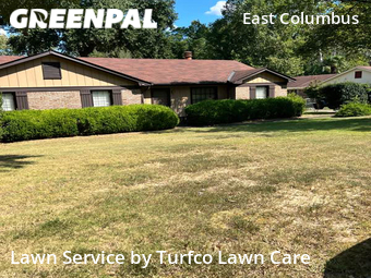 Yard Cutting nearby Columbus, AL, 