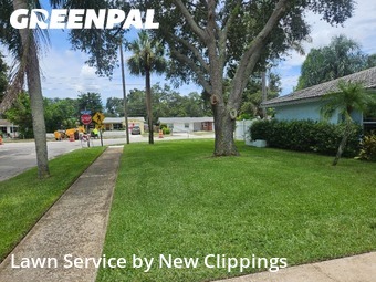 Lawn Maintenance nearby Clearwater, FL, 