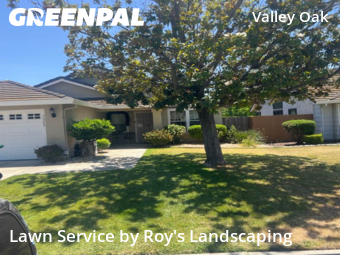 Lawn Mow nearby Stockton, CA, 