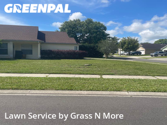 Grass Cut nearby Orlando, FL, 