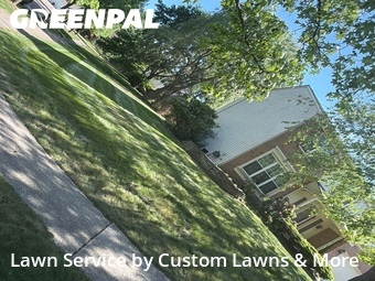 Lawn mowed in Novi, 48375
