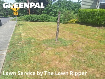 Lawn Care Service nearby Seattle, WA, 