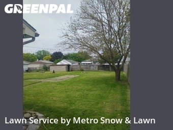 Grass Cut nearby Eastpointe, MI, 