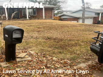 Grass Cutting nearby St. Louis, MO, 