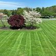residential-lawn-cutting-businesses-in-Reading-PA