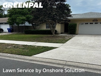 Grass Cut nearby Palm Harbor, FL, 