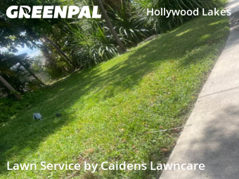 Yard Cuttingin Hollywood,33019,Yard Mowing by Caidens Lawncare , work completed in Nov , 2025