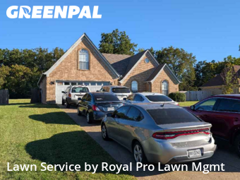 Lawn Care Service nearby Walls, MS, 