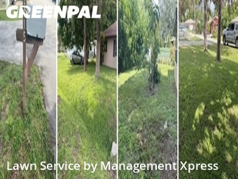 Grass Cut nearby Fort Myers, FL, 