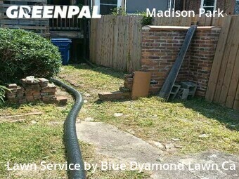 Lawn Care Service nearby Baltimore, MD, 