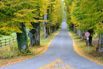 Local Lawn care service near me in Lake Saint Louis, MO, 63367