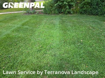 Backyard Mowing in Lisle, 60532, Lawn Upkeep by Terranova Landscape, work completed in Nov , 2025
