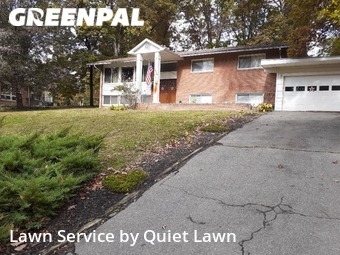 Turf Services in Annandale, 22003, Turf Services by Quickscape , work completed in Nov , 2025