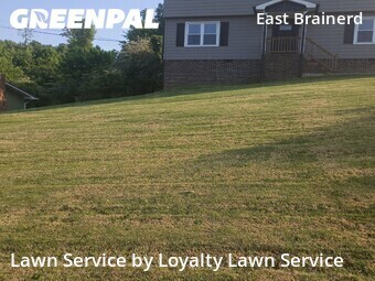 Yard Cutting nearby Chattanooga, TN, 