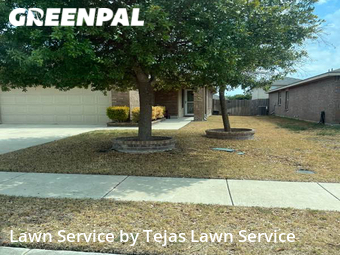 Grass Cut nearby Leander, TX, 