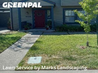 Lawn Cutting nearby Davis, CA, 