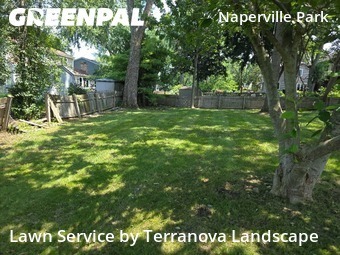 Yard Mowing nearby Naperville, IL, 
