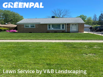 Lawn Mow nearby Des Plaines, IL, 