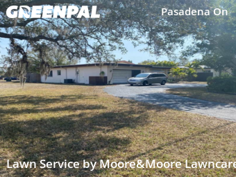 Grass Cutting nearby St. Petersburg, FL, 