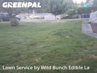 Lawn Maintenance nearby Kent, WA, 