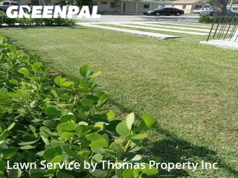 Lawn Care nearby Miami, FL, 