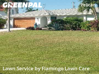 Property Maintenance in Cape Coral, 33914, Lawn Management by Flamingo Lawn Care, work completed in Oct , 2025