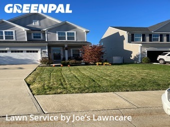 Grass Services in Willoughby, 44094, Backyard Mowing by Joe’s Lawncare, work completed in Nov , 2025