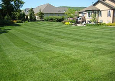 Lawn Mowing Contractor in Bristol, CT, 06010