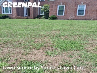 Lawn Mow nearby Hendersonville, TN, 