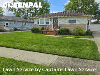 Yard Cutting nearby Buffalo, NY, 