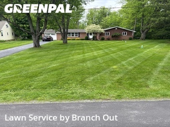 Grass Cut nearby Elma Center, NY, 