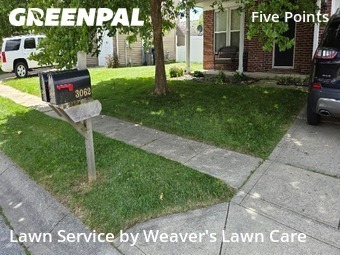Lawn Mow nearby Indianapolis, IN, 