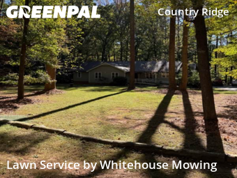 Lawn Cut nearby Raleigh, NC, 