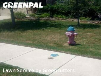 Lawn Mowing nearby Pflugerville, TX, 