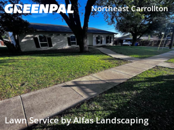 Yard Services in Carrollton, 75007, Lawn Maintenance by Alfas Landscaping, work completed in Dec , 2025