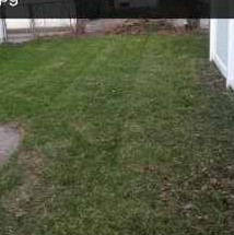 affordable-grass-cutting-businesses-in-Minnetonka-MN