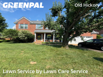 Lawn Cut nearby Green Hill, TN, 