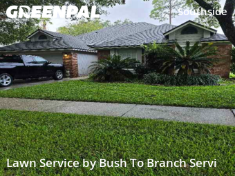 Yard Cutting nearby Jacksonville, FL, 