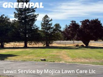lawn-care-experts-in-Vacaville-CA