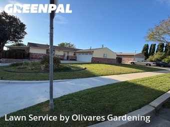 yard-maintenance-professionals-in-Los Angeles-CA