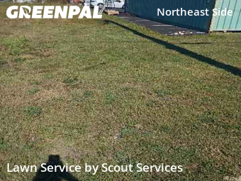 Yard Cutting nearby Converse, TX, 