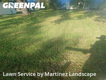 Lawn Mow nearby Ocala, FL, 