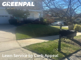 Lawn Carein Huntersville,28078,Lawn Mowing by Curb Appeal, work completed in Dec , 2025
