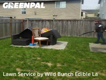 Yard Mowing nearby Auburn, WA, 