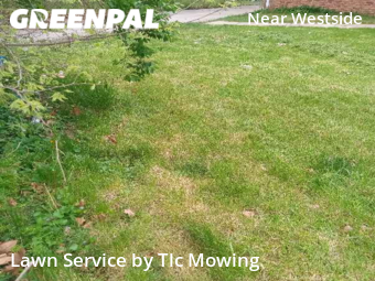 Lawn Mowing Service nearby Decatur, IL, 